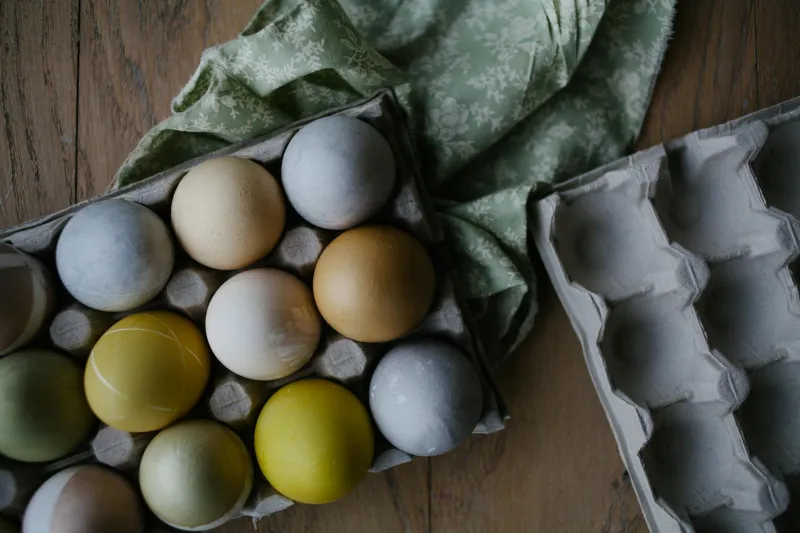 The Cholesterol Scare That Demonized Eggs for Half a Century — What Scientists Actually Discovered